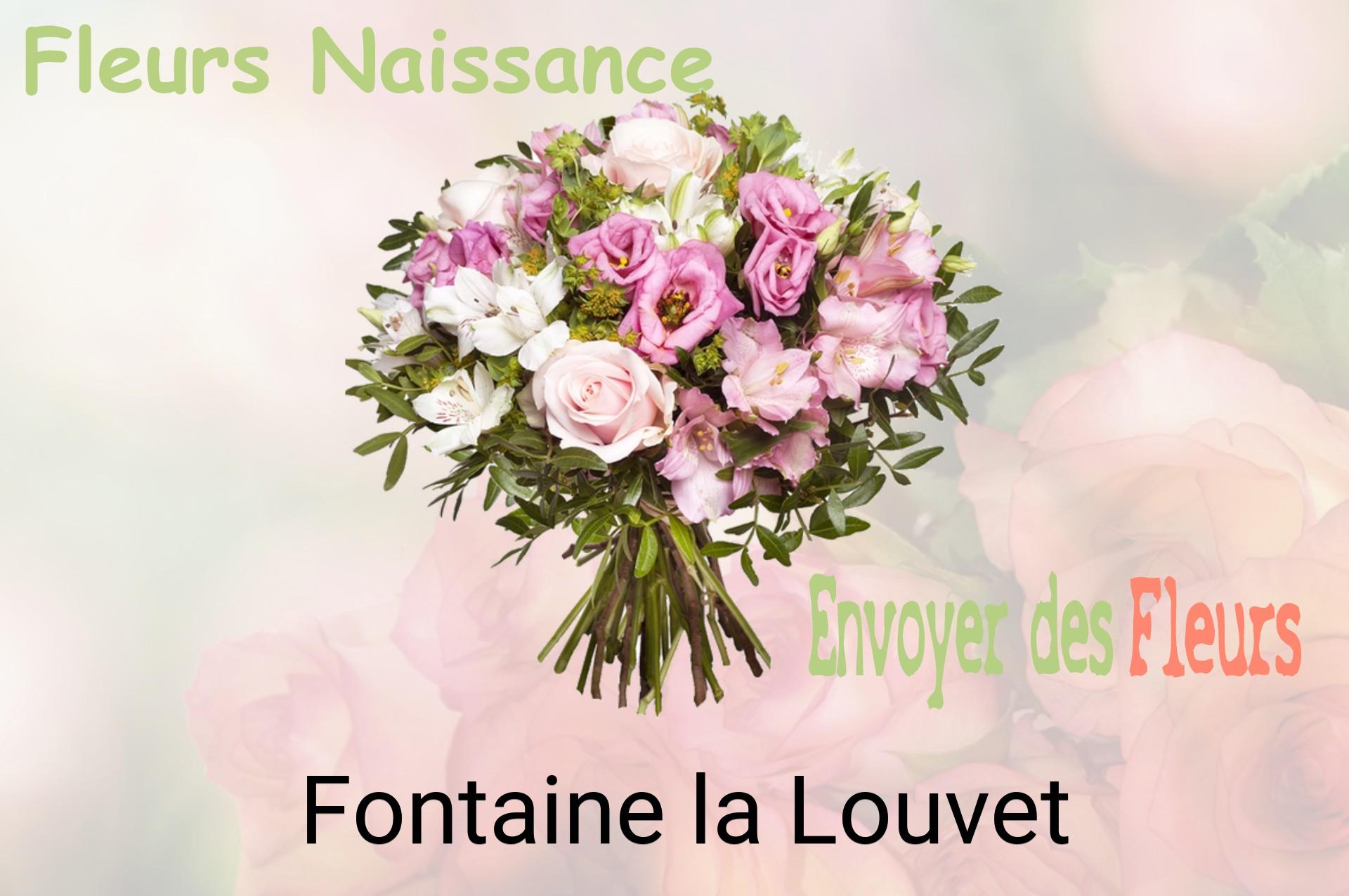 Bouquet de fleurs de naissance livré à Fontaine-la-Louvet